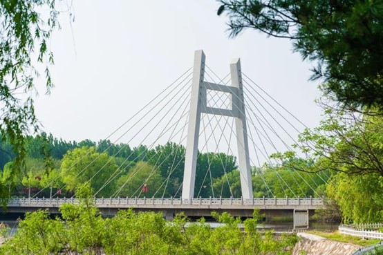 泰山醫(yī)學(xué)院錄取分?jǐn)?shù)線_山一大學(xué)科實(shí)力排名_山東第一醫(yī)科大學(xué)優(yōu)勢(shì)專(zhuān)業(yè)